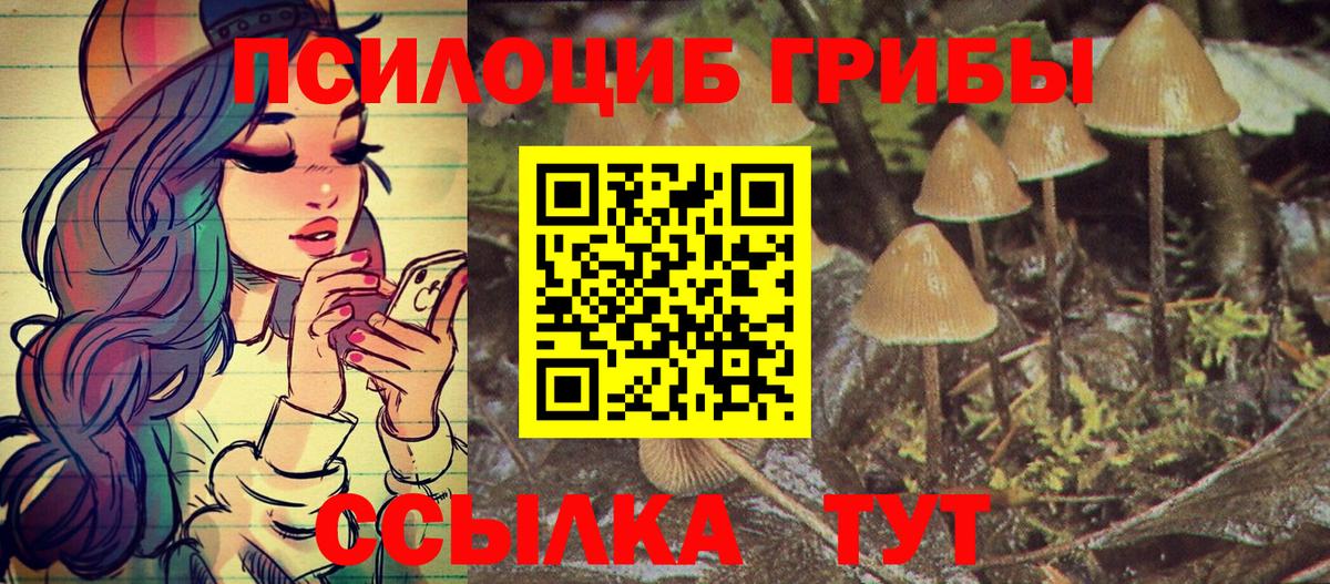 Псилоцибиновые грибы Psilocybe  Вход с VPN  Севастополь  Галлюциногенные грибы MAGIC MUSHROOMS 